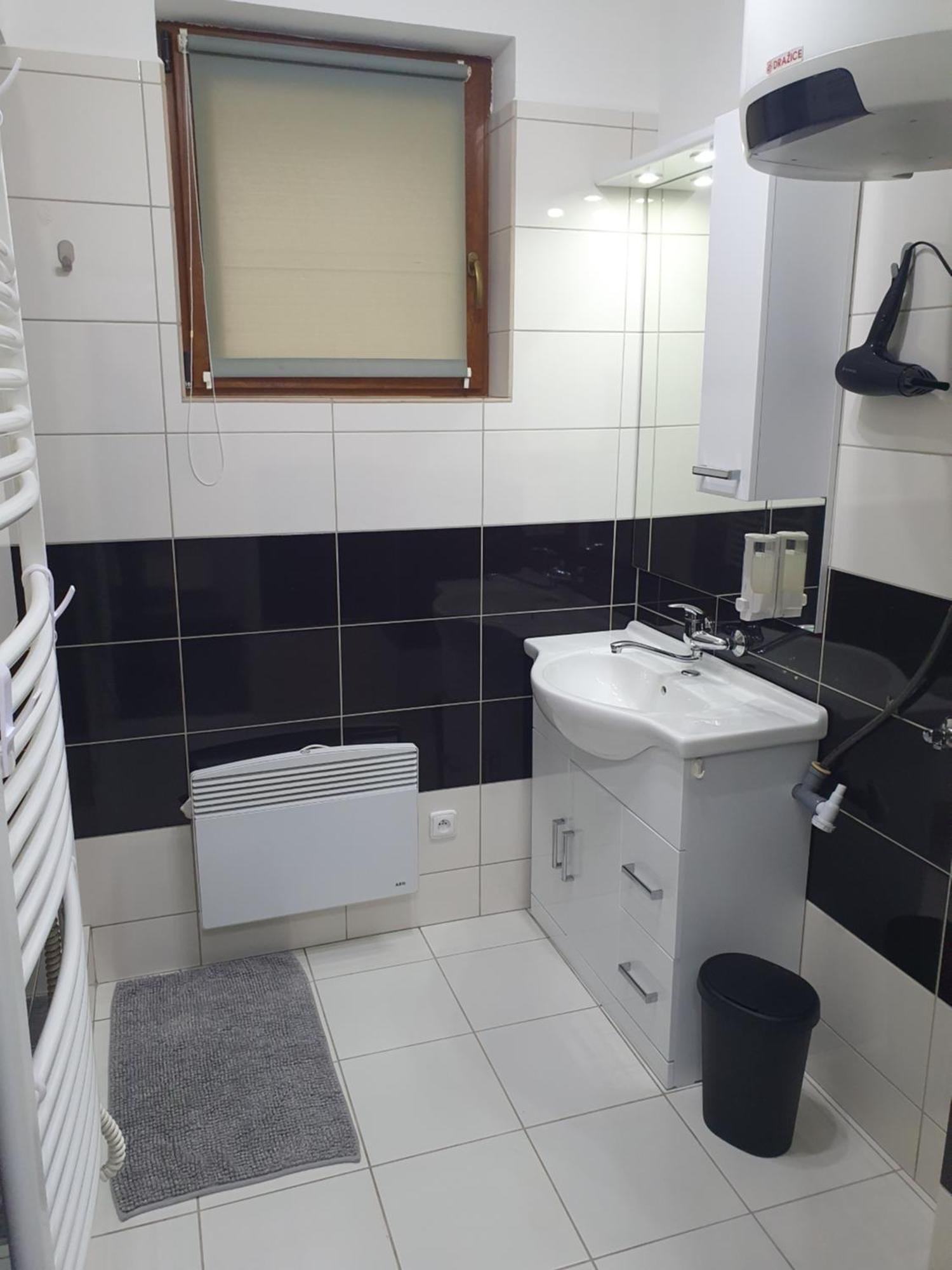 Skorkovskeho Business Apartment Бърно Екстериор снимка